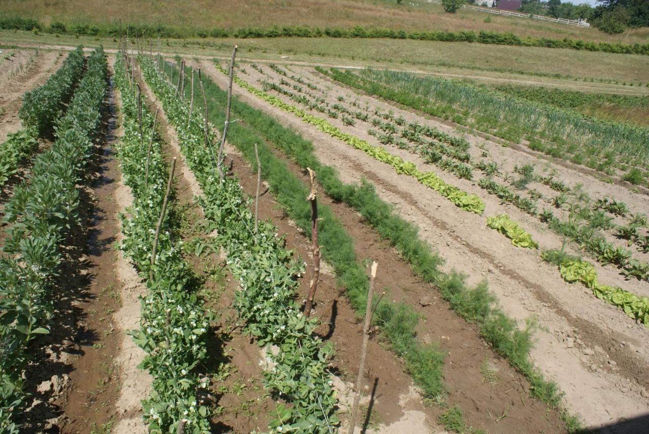 Agrodomki Okej-Bialy Dom Gardna Wielka Exteriör bild